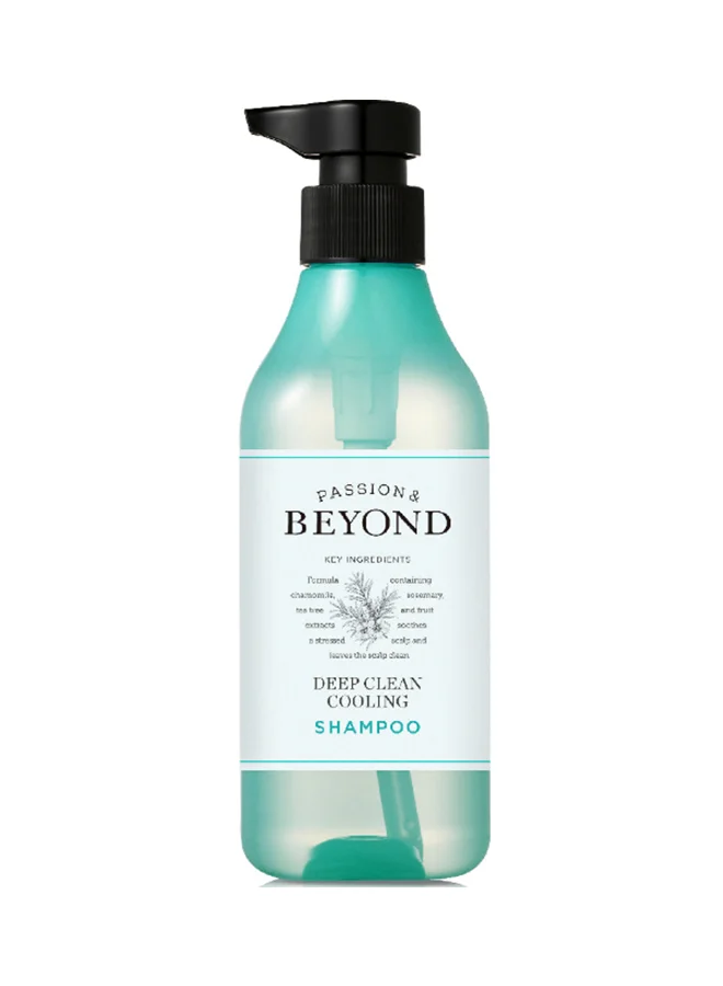 THE FACE SHOP Beyond Deep Clean Cooling Shampoo 450